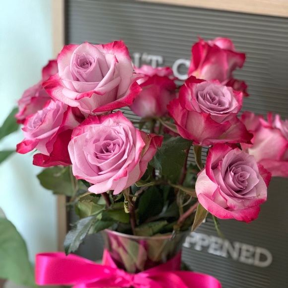 Meet your Posher, Sunny - Picture 1 of 1